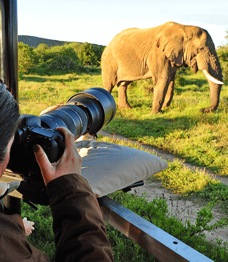 Aventura Fotográfica - Safari no Serengeti e Ngorongoro