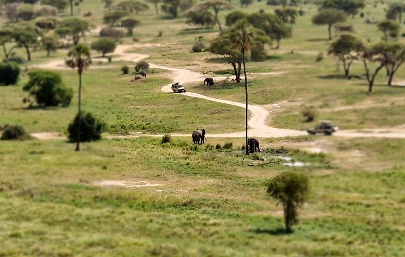 Safari Sarabi – Magia della Natura a Tarangire e Manyara