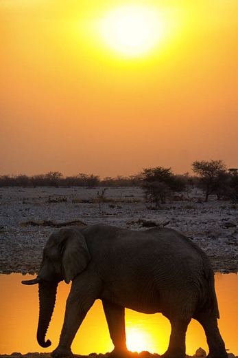 Tanzania Dreams - Unforgettable Safari in Tanzania, the Heart of Africa